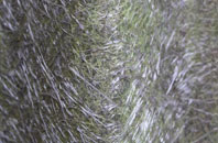 Gorstella fibreglass roof work